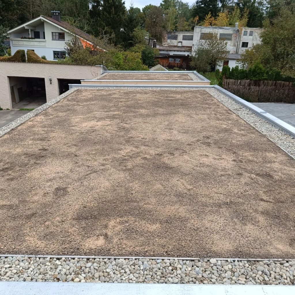 September 2024 - Garten und Pflasterarbeiten in Waldkraiburg - Gründachfläche fertig verlegt
